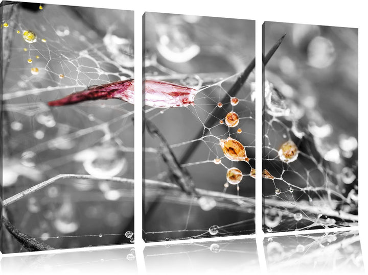Pixxprint Spinnennetz mit Wassertropfen B&W Detail 3-Teiler Leinwandbild 120x80 Bild auf Leinwand