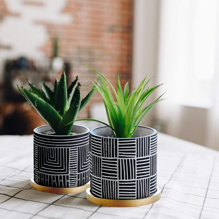 Olly & Rose Designer Schwarze Blumentöpfe Set 2 mit goldenen Untersetzern Keramik Blumentopf Übertöp