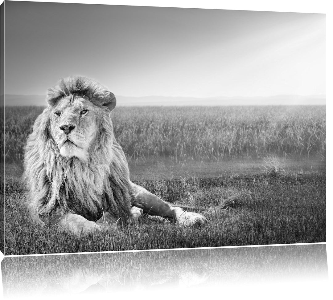 Pixxprint Majestätischer Löwe Kunst B&W als Leinwandbild/Grösse: 100x70 / Wandbild/Kunstdruck/fertig