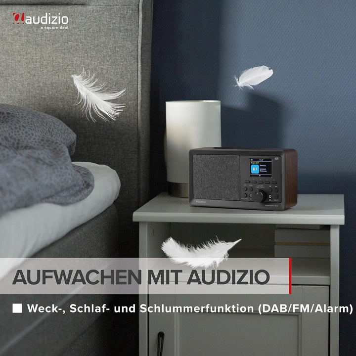 Audizio Padova - Küchenradio DAB Radio mit Fernbedienung, Retro DAB Radio mit Bluetooth, TFT Farbdis