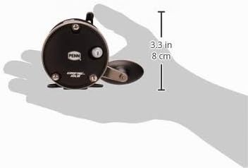PENN Warfare Level Wind Multirolle für Salzwasser Boots- oder Kajakangeln 15| Right, 15| Right