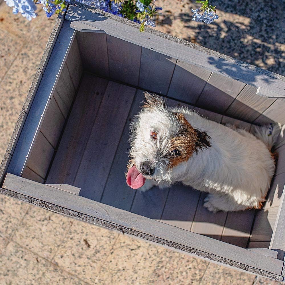 Ferplast 87027200 Outdoor-Zwinger, Hundehütte ARGO 60 aus FSC-Holz mit ungiftiger Farbe, beständig g