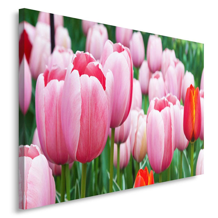 Feeby Bilder Blumen Tulpen 80x60 cm Wohnzimmer Schlafzimmer Büro Flur Küche Wandbilder Modern Bild a