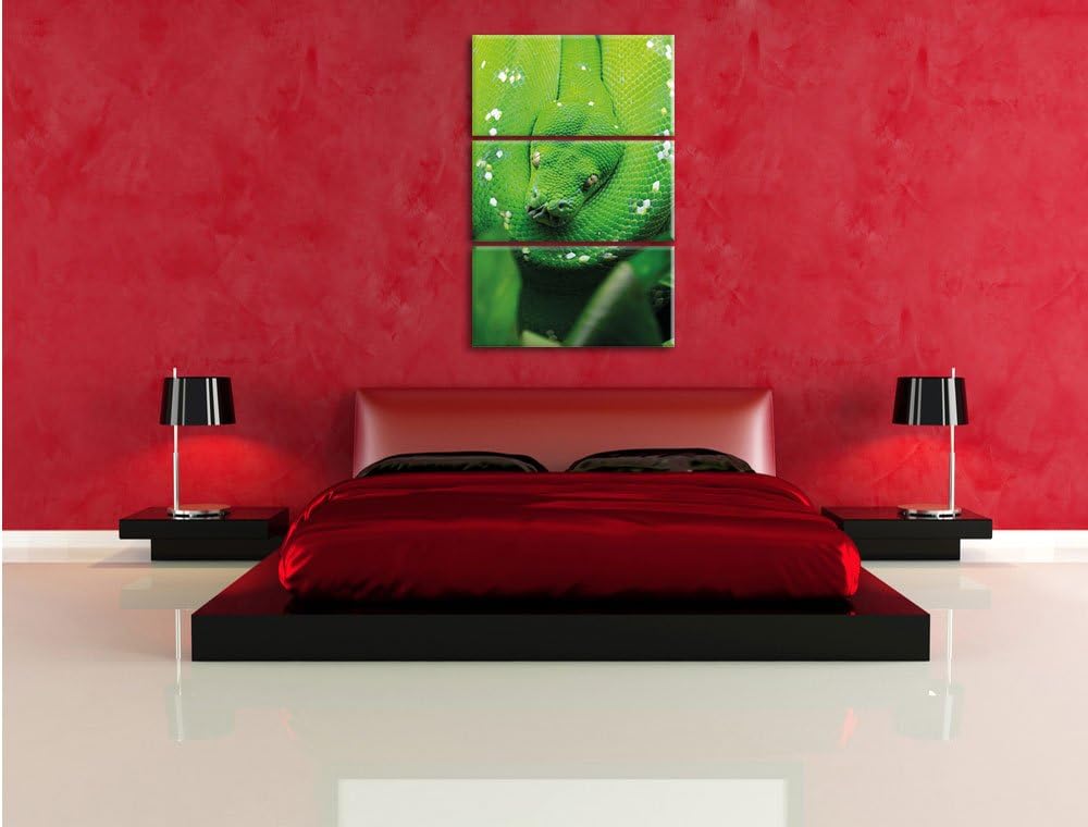 Pixxprint Grüne giftige Schlange als Leinwandbild/Grösse: 3 Teilig (120x80) cm/Wandbild/Kunstdruck/f