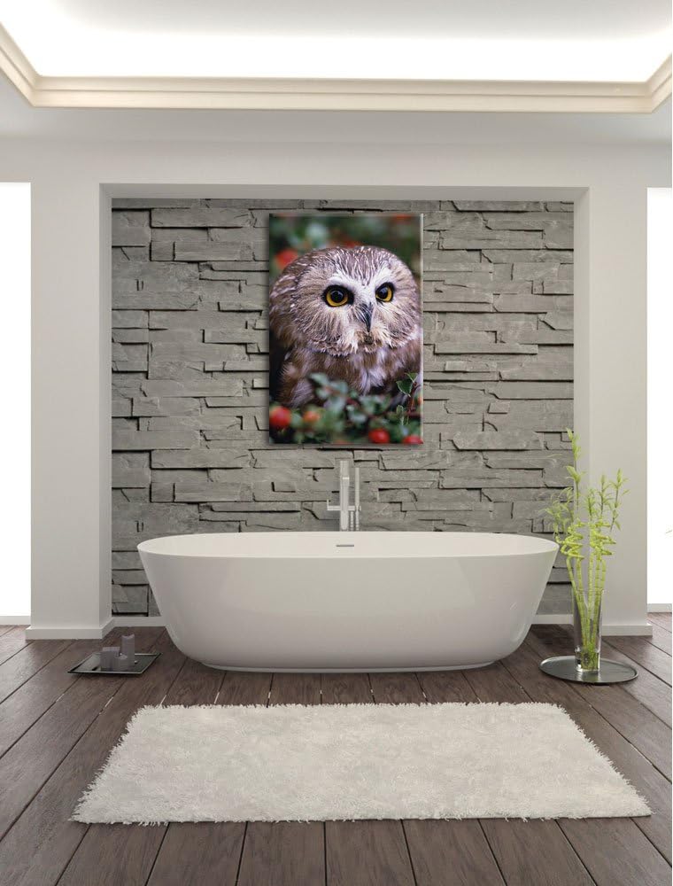 Pixxprint Eule im Vogelbeerenstrauch als Leinwandbild/Grösse: 100x70 / Wandbild/Kunstdruck/fertig be