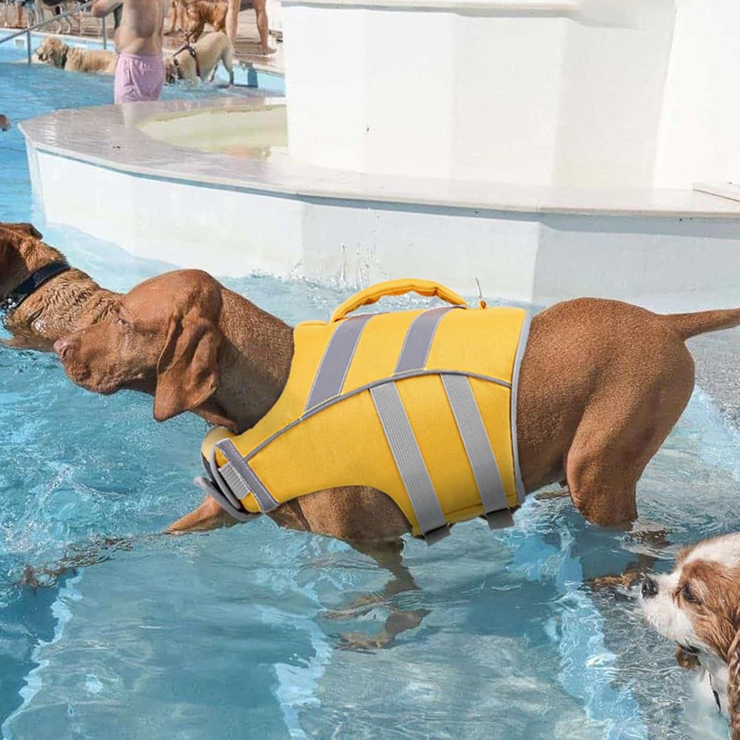 Kuoser Schwimmweste Hund, Haltbarkeit Hundeschwimmweste, Hervorragender Auftrieb Schwimmweste Hund k