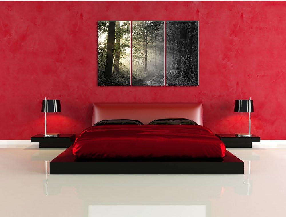 Pixxprint Waldweg im Grünen / 3-Teilig/Gesamtmass 120cm Leinwandbild bespannt auf Holzrahmen/Wandbil