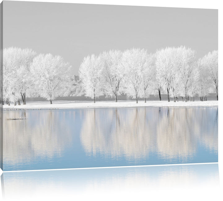 schneebedeckte Bäume an einem See schwarz/weiss Format: 100x70 auf Leinwand, XXL riesige Bilder fert
