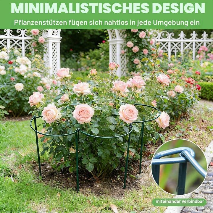 6 Stück Pflanzenstütze Halbrund, 25 x 60 cm Metall Pflanzenhalter, Befestigbare Staudenhalter, Blume