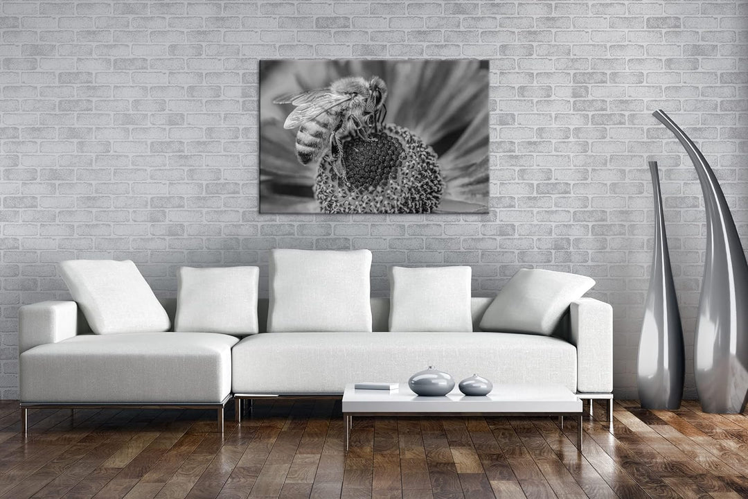 deyoli Biene beim Pollen sammeln Effekt: Schwarz&Weiss Format: 80x60 als Leinwandbild, Motiv fertig