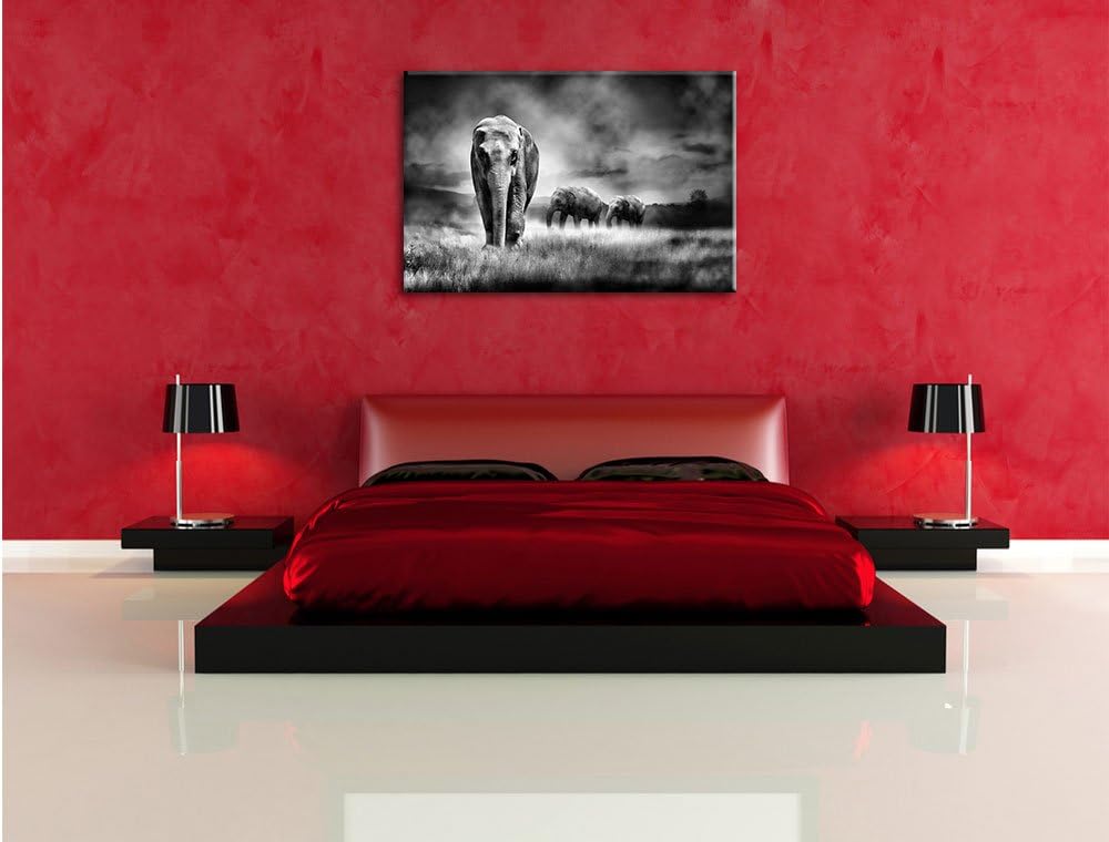 Pixxprint Monocrome, Prächtiger Elefanten in Steppe, Format: 100x70 auf Leinwand, 100x70