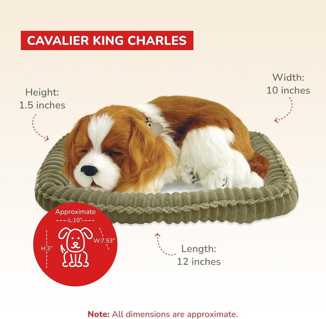 Perfect Petzzz 96309 Plüschhund Cavalier King Charles mit Körbchen, Grösse 25 cm, Kuscheltier atmet