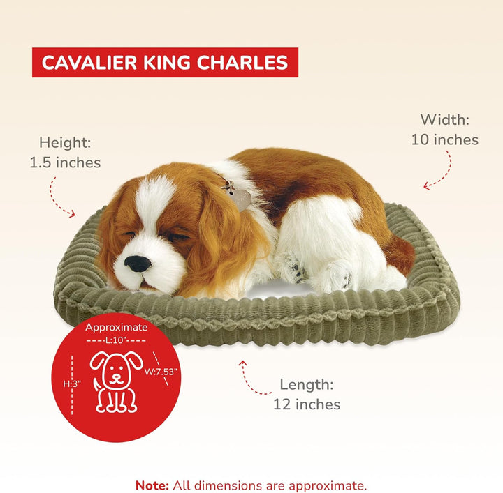 Perfect Petzzz 96309 Plüschhund Cavalier King Charles mit Körbchen, Grösse 25 cm, Kuscheltier atmet