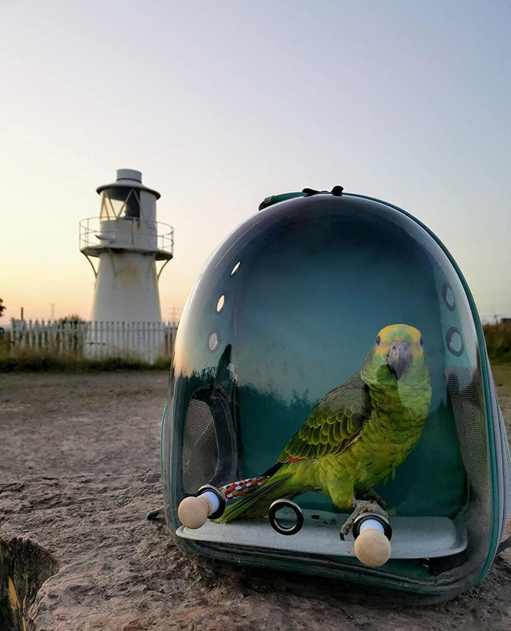 Bird Backpack Carrier, Bird Bubble Travel Backpack with Standing Perch Tray Food Cups grün, grün