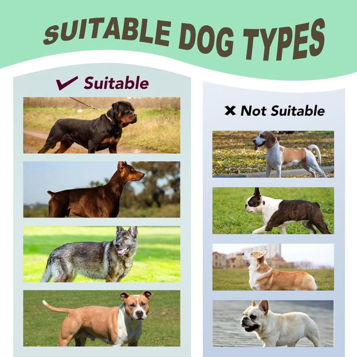 TSPRO Taktische Hundegeschirre mit Griff, 3,8 cm Breit, Militärqualität, Dick Gepolstert und Robust,