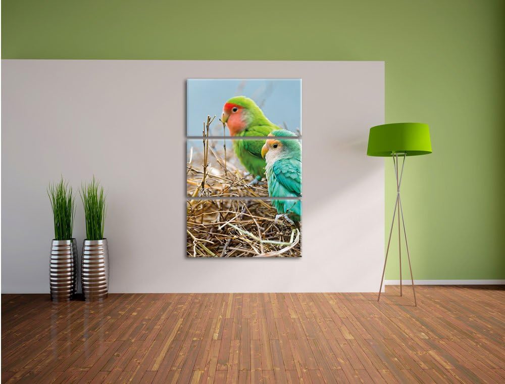 Papageien im Nest 3-Teiler Leinwandbild 120x80 Bild auf Leinwand, riesige Bilder fertig gerahmt mit