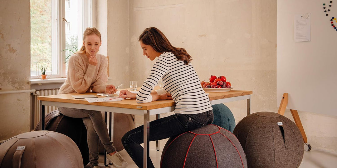VLUV® BOL STOV Sitzball Büro Ergonomisch [Atmungsaktiv mit Tragegriff und Wegrollschutz] Waschbarer