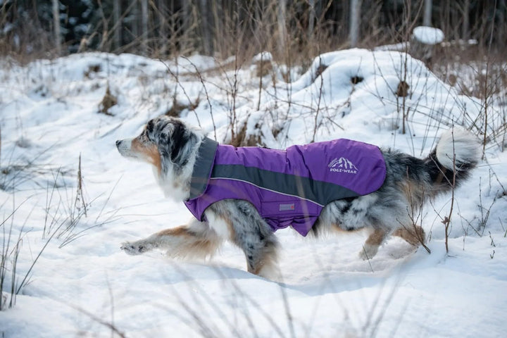 Wolters Wolters Skijacke Dogz-Wear | Wintermantel für Hunde | Farbe Lila-Grau | Grösse 36 (Rückenlän