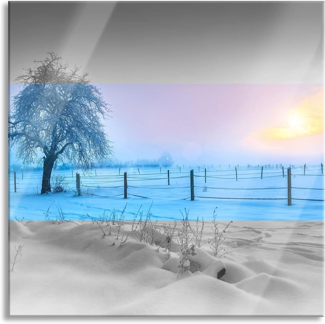 Pixxprint Glasbild | Wandbild auf Echtglas | Baum in Winterlandschaft | 60x60 cm | inkl. Aufhängung