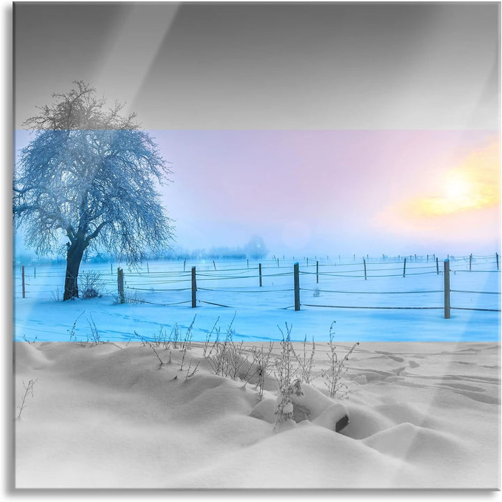 Pixxprint Glasbild | Wandbild auf Echtglas | Baum in Winterlandschaft | 40x40 cm | inkl. Aufhängung