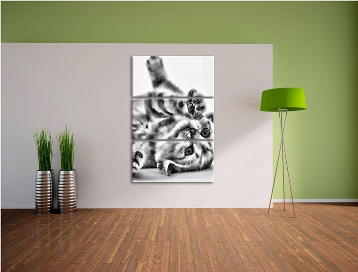 Pixxprint Kleine Katze als Leinwandbild/Grösse: 3 Teilig (120x80) / Wandbild/Kunstdruck/fertig bespa