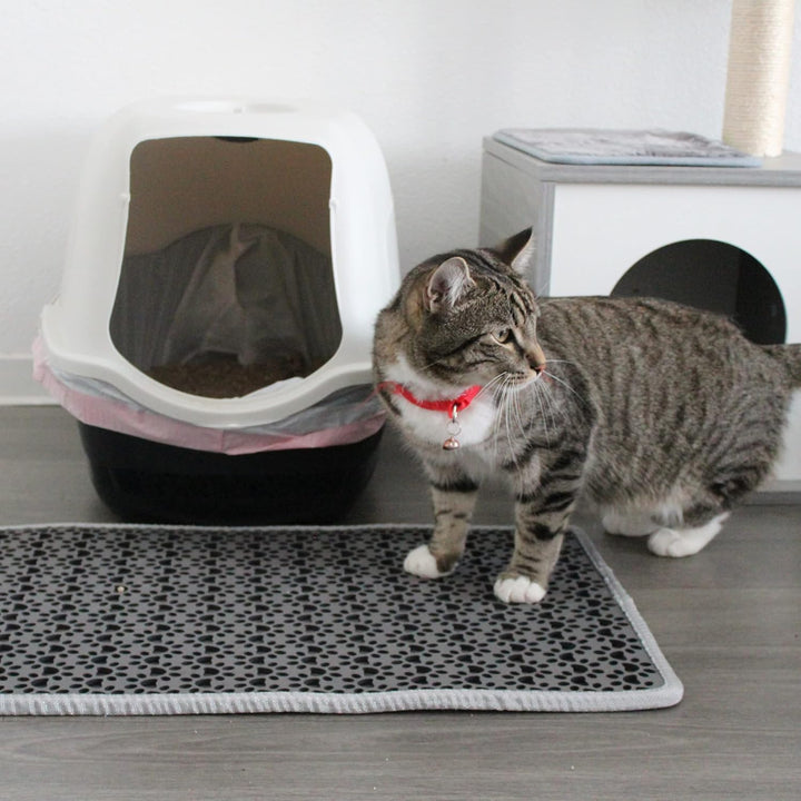 Bazerga Katzenklo Matte, Katzenstreu Katzenmatte Katzenklo Gross XXL Unterleger Katzenklo Vorleger W