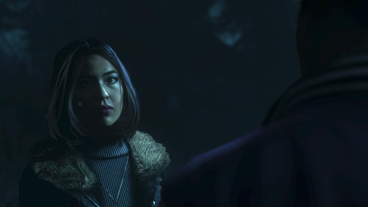 Until Dawn (Sony PS4) (UK Import)