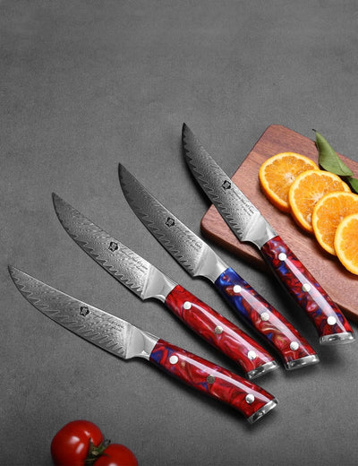 WILDMOK Steakmesser-Set mit 4 Damaststahl-Steakmessern 12,7cm, ultrascharf, gezahntes Steakmesser-Se
