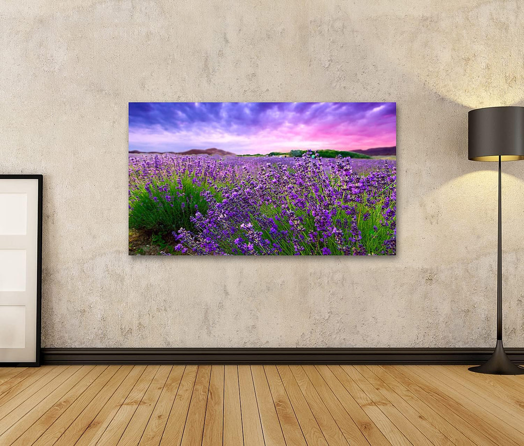 islandburner Bild auf Leinwand Sonnenuntergang über einem Lavendelfeld Tihany Ungarn Wandbild Poster