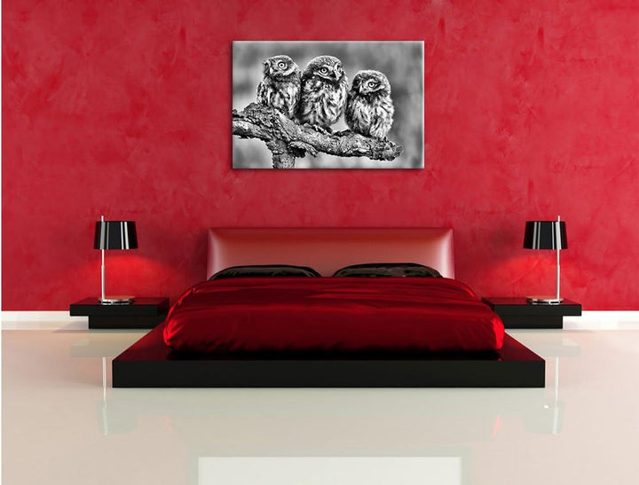 Pixxprint DREI Eulen auf AST als Leinwandbild/Grösse: 100x70 cm/Wandbild/Kunstdruck/fertig bespannt,
