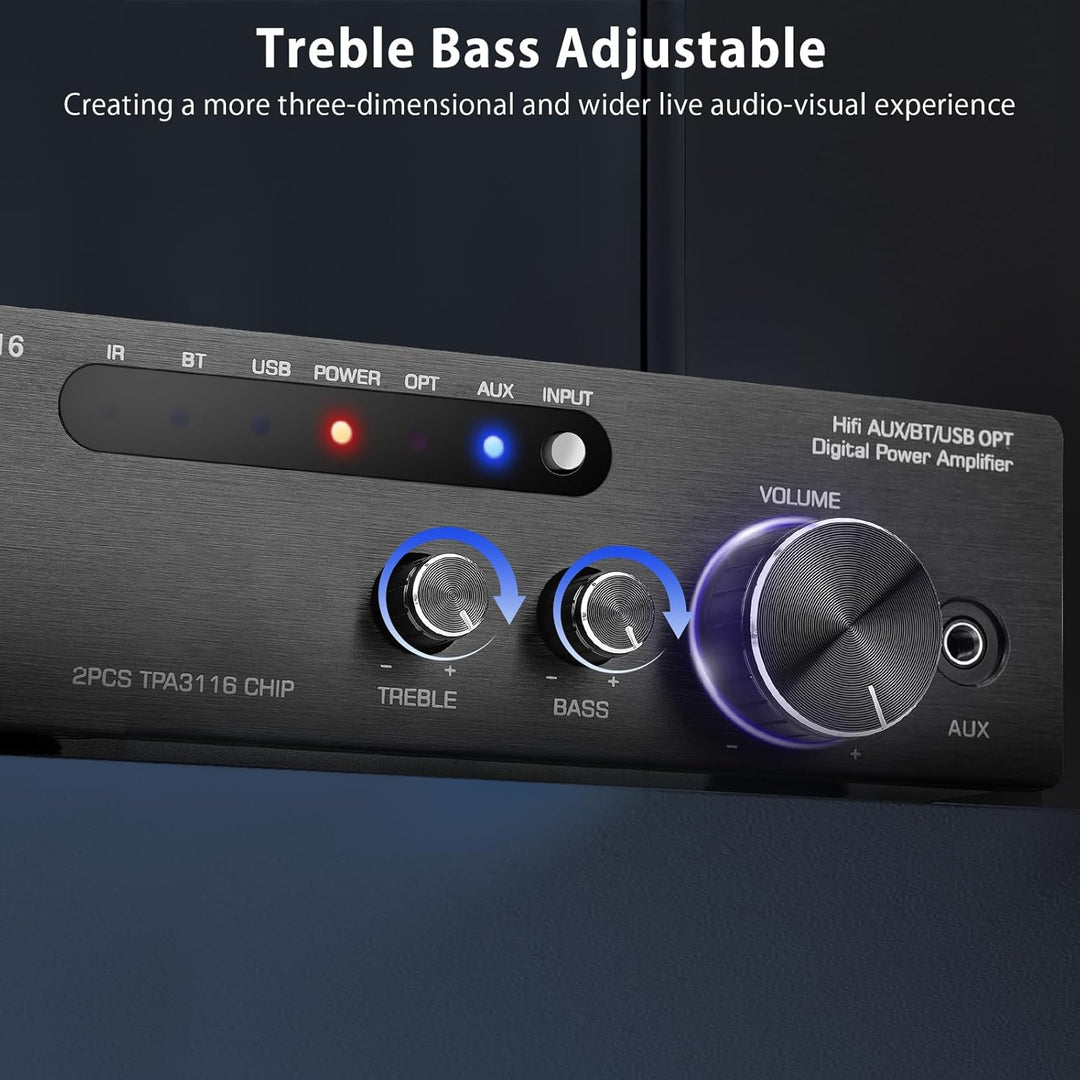 Bluetooth Verstärker 5.0 HiFi Stereo Verstärker Receiver 2.0-Kanal 2x100W TPA3116 Klasse D Mini Vers