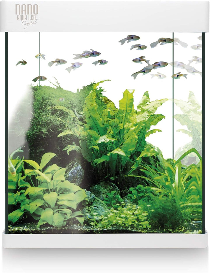 ICA KNA10 Nano Aqua Led Crystal Aquariumset, 10 Liter Weiss 10 LITROS (Pack of 1), Weiss 10 LITROS (