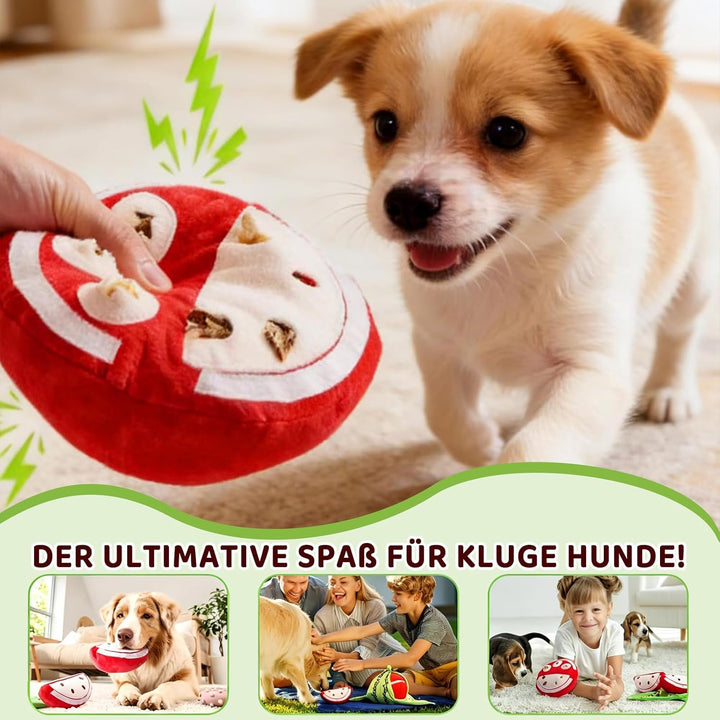 Quietschendes Hundespielzeug Kleine, Leckerli Ball für Hunde, Interaktives Such-und-Versteckspass mi