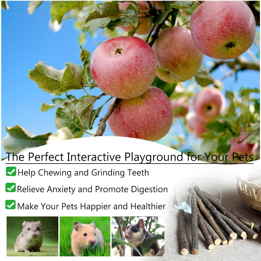 Hamster Spielzeug, Meerschweinchen Spielzeug, Kaninchen Zubehör, Kaninchen Spielzeug für Hamster Mee