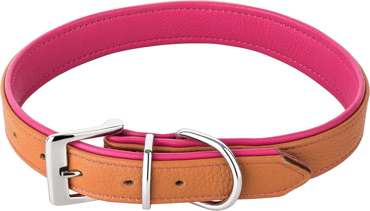Schnüffelfreunde Lederhalsband Hund - Fun Line (XXL - 55-65cm, Beige-Pink) XXL Beige-Pink, XXL Beige
