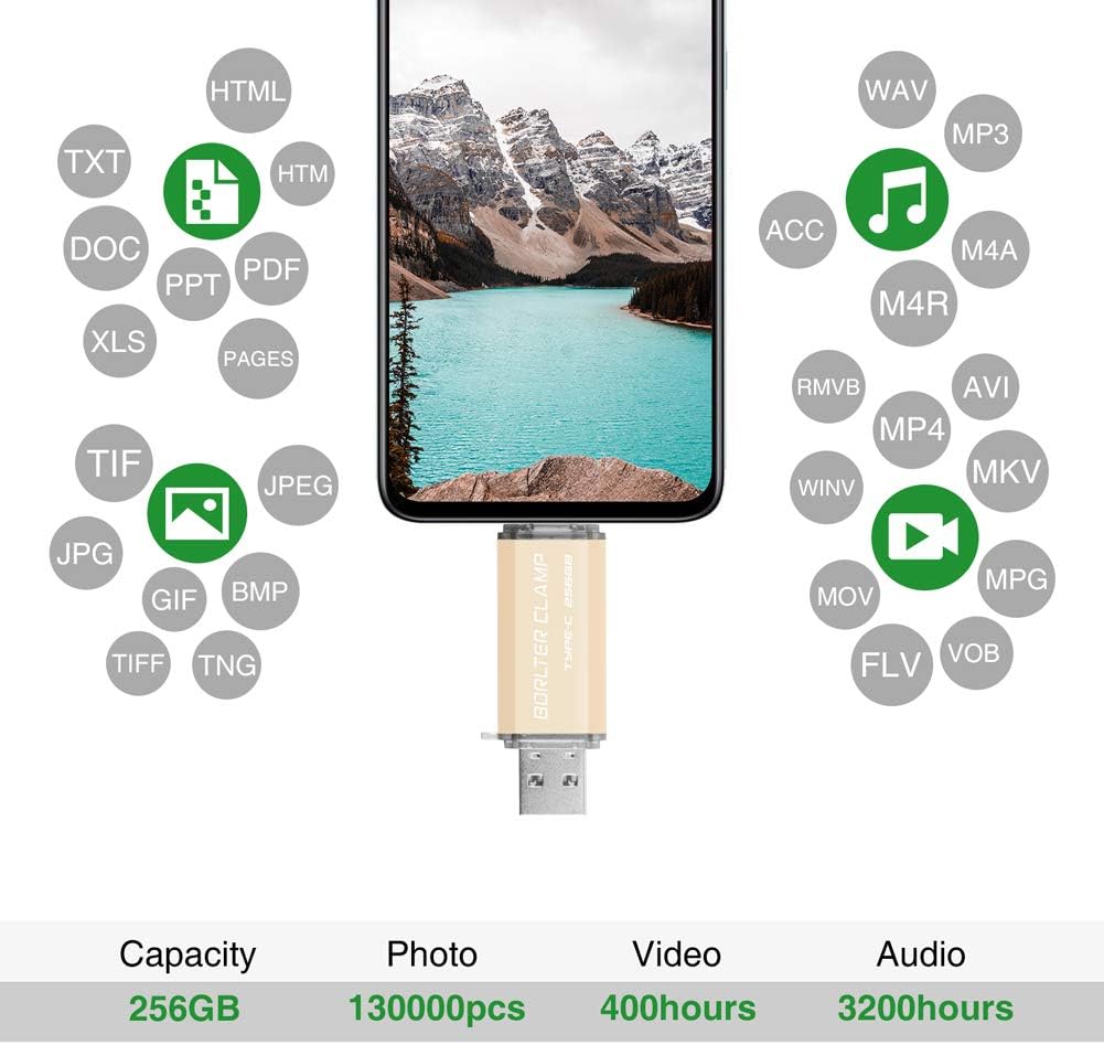 BORLTER CLAMP Type C USB-Stick 256GB OTG 2 in 1 Speicherstick Dual-Port USB 3.0 Flash-Laufwerk mit U