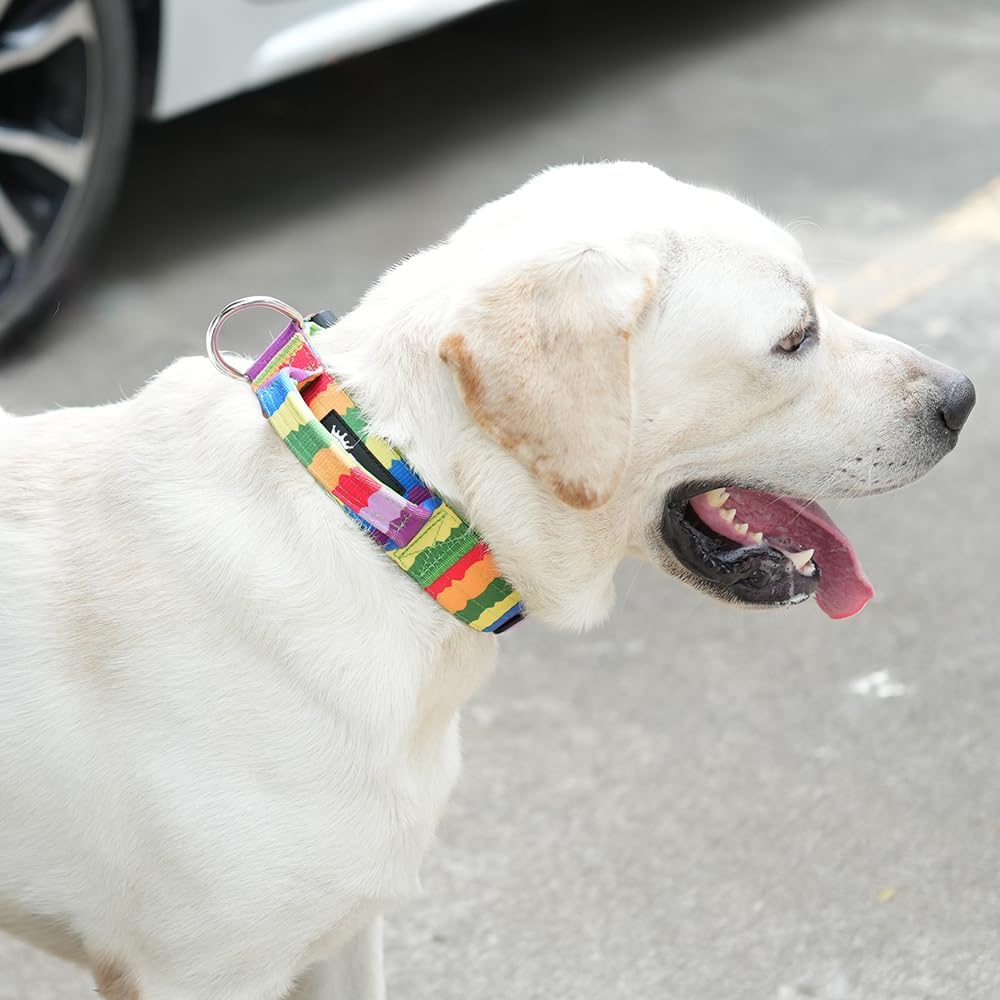TSPRO Premium Hundehalsband mit Griff Dickes Verstellbares Hundehalsband Schwere Ausführung Schnellv