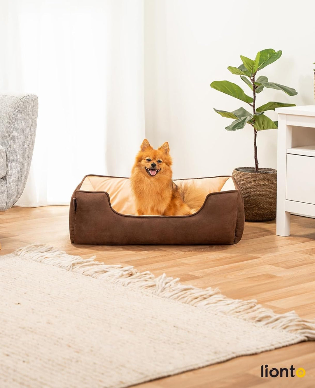 lionto 2-in-1 Hundebett Hundekissen Hundekörbchen Hundesofa, (M) 80x60 cm braun/beige L 80 x B 60 x