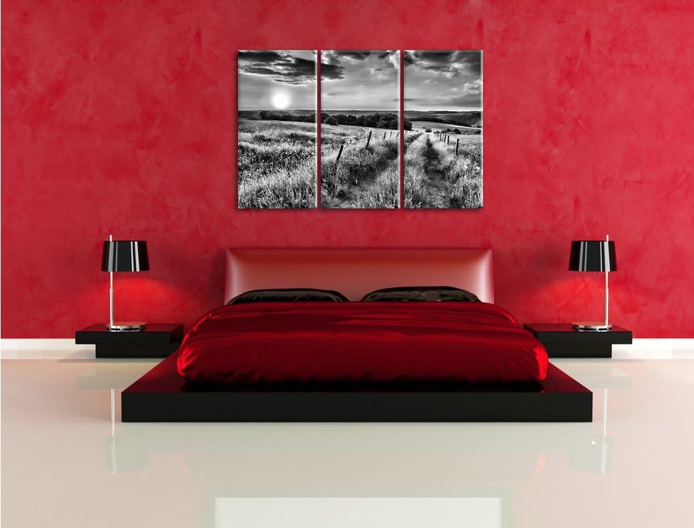 Pixxprint Bergwiese im Sonnenaufgang als Leinwandbild/Grösse: 3 Teilig (120x80) cm/Wandbild/Kunstdru