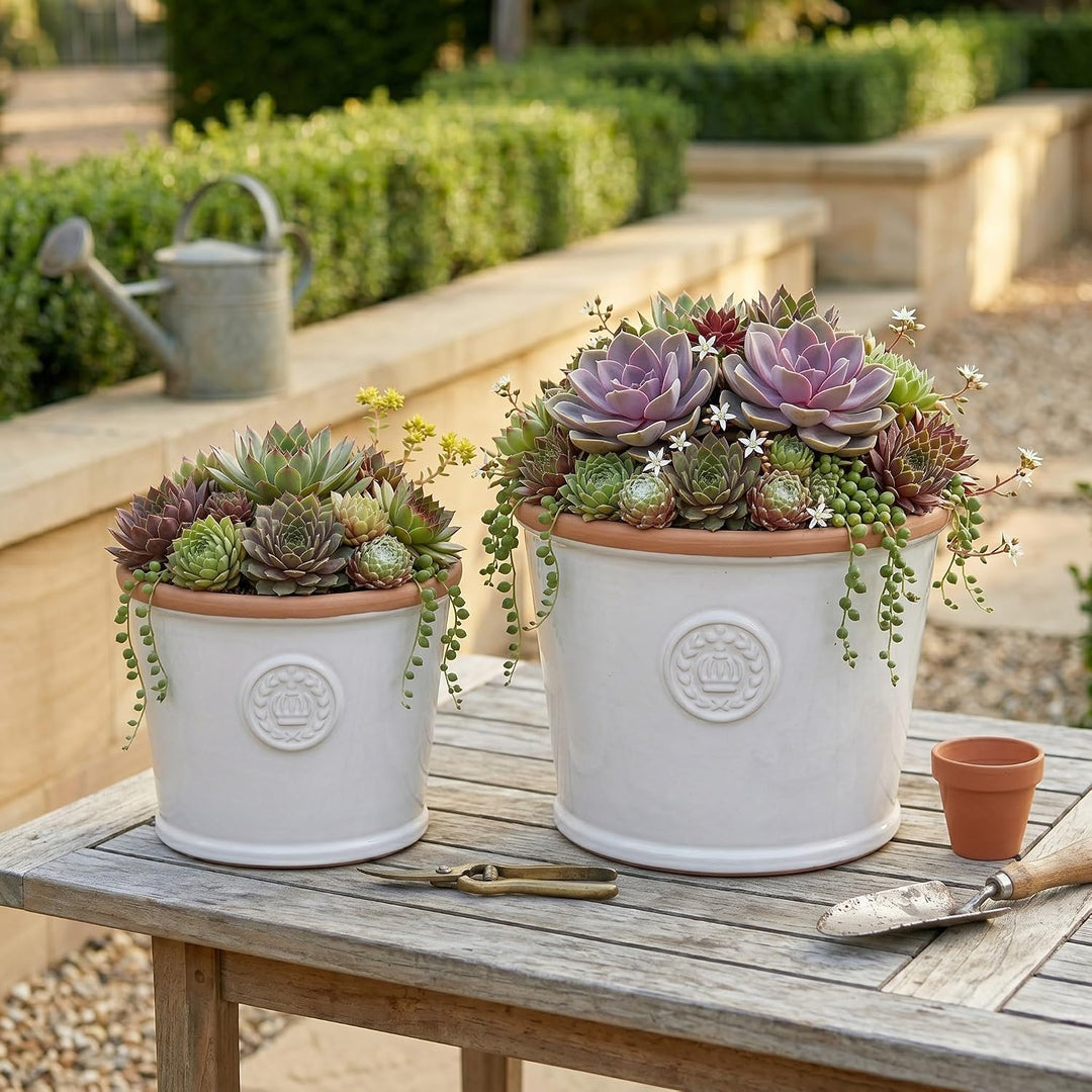 Teramico Pflanzgefäss Blumentopf Übertopf Krone Steinzeug glasiert Weiss Grau 34cm 45cm absolut Fros