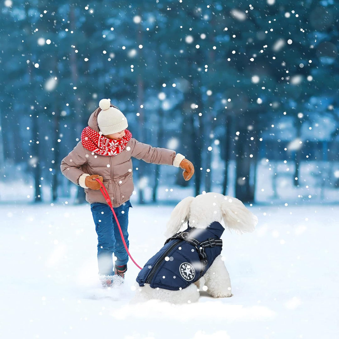 Hundemantel Winter, Wärme Hundejacke Mit Brustgurt Gurt Winddichte mit bauchschutz, Haustier Outdoor