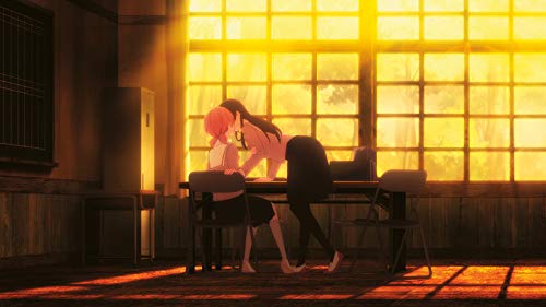 Bloom into you - Volume 1 (Episode 1-4), DVD