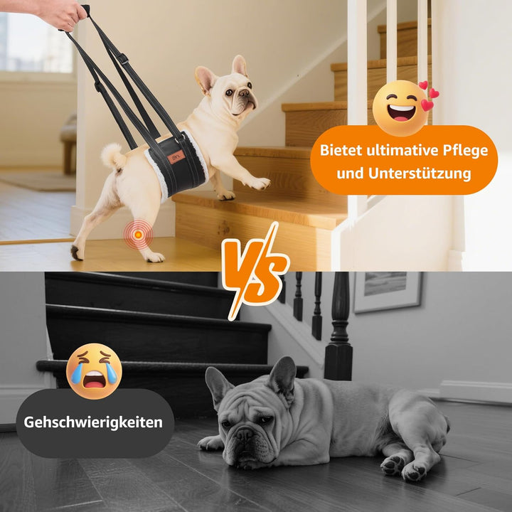 Hundegeschirr Hunde Tragehilfe Einstellbar Gehhilfe Hund Treppe Hund Hinten Lift Support Geschirr Kl