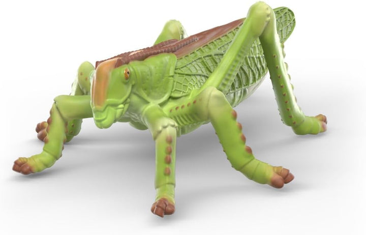 Schleich WILD Life | Insekten Entdecker Set 42741 | detailgetreue Tierfiguren heimischer Insekten mi