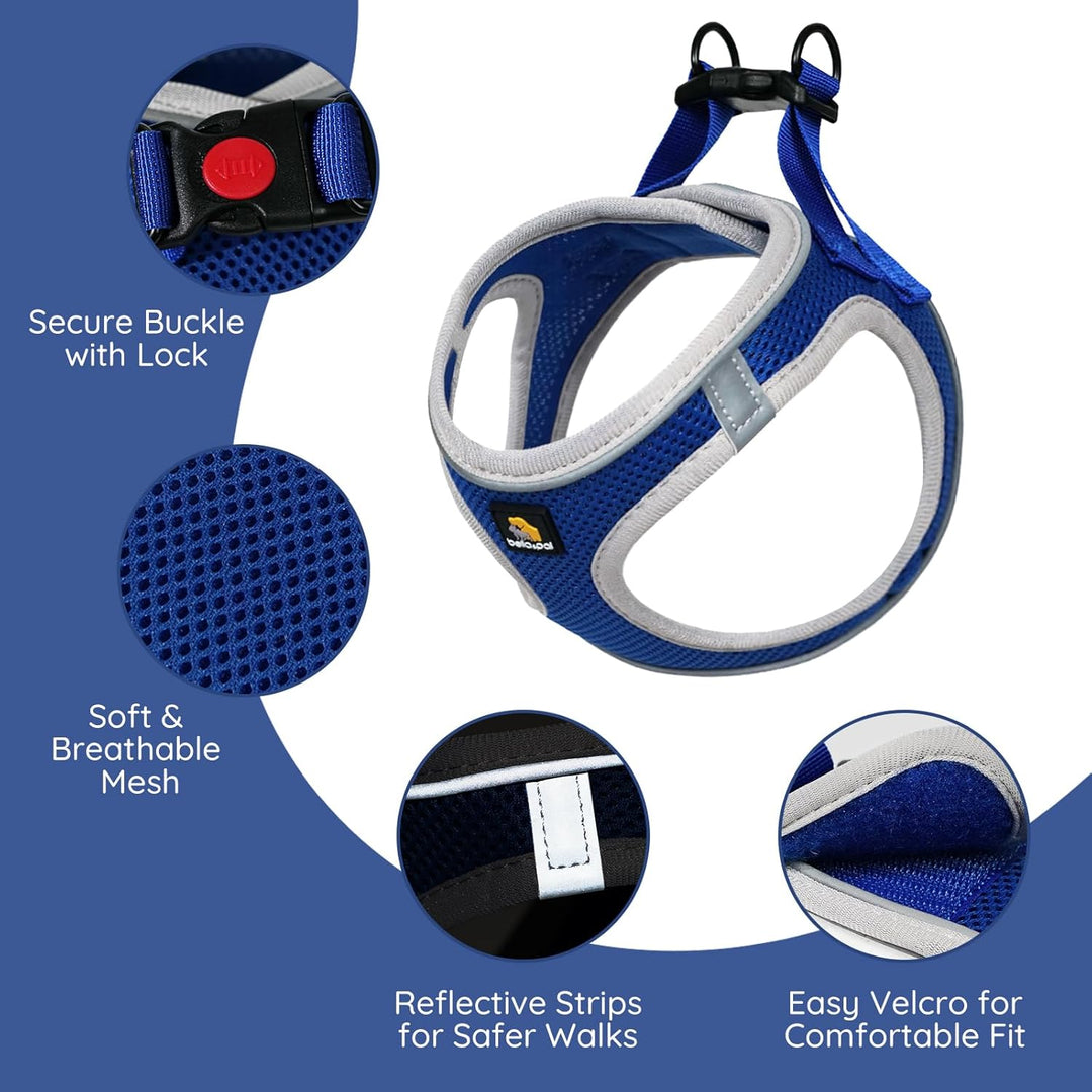 BELLA & PAL Hundegeschirr Kleine Hunde mit Nylonseil Leine, Step-in Geschirr aus Air Mesh, Anti Zug
