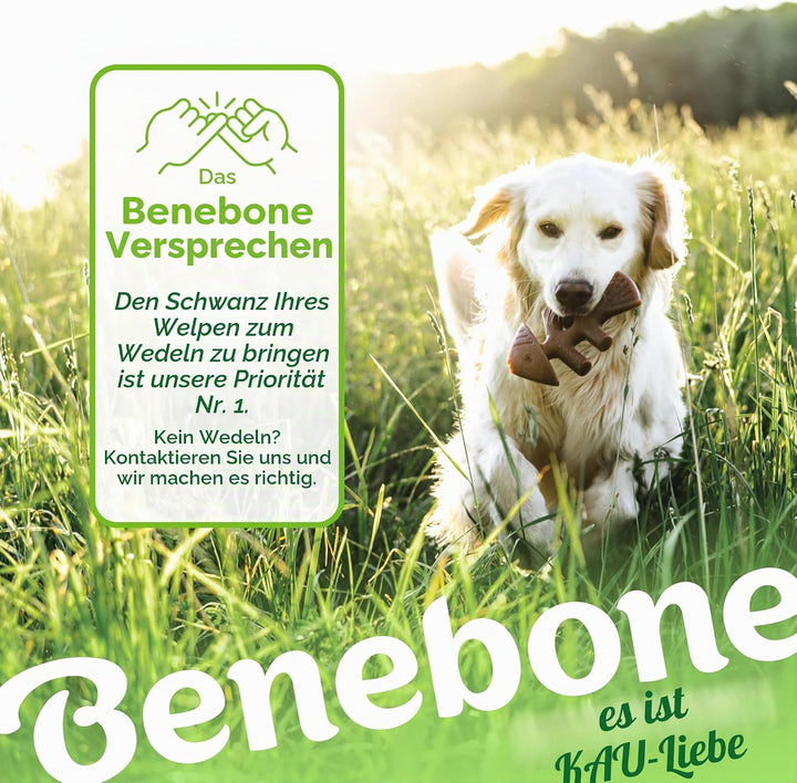 Benebone 2-Pack Indestructible Fishbone/Wishbone Dog Chew Toys, Long Lasting Tough Boredom Breaker f
