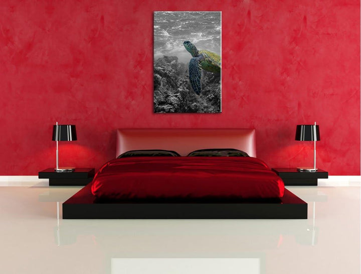 Schildkröte und Korallen im Ozean schwarz/weiss Format: 100x70 auf Leinwand, XXL riesige Bilder fert