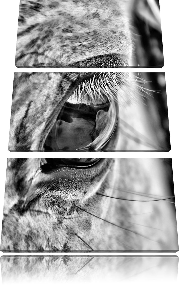 Pixxprint schöne grosse Pferdeaugen als Leinwandbild | Grösse: 3 Teilig (120x80) | Wandbild| Kunstdr