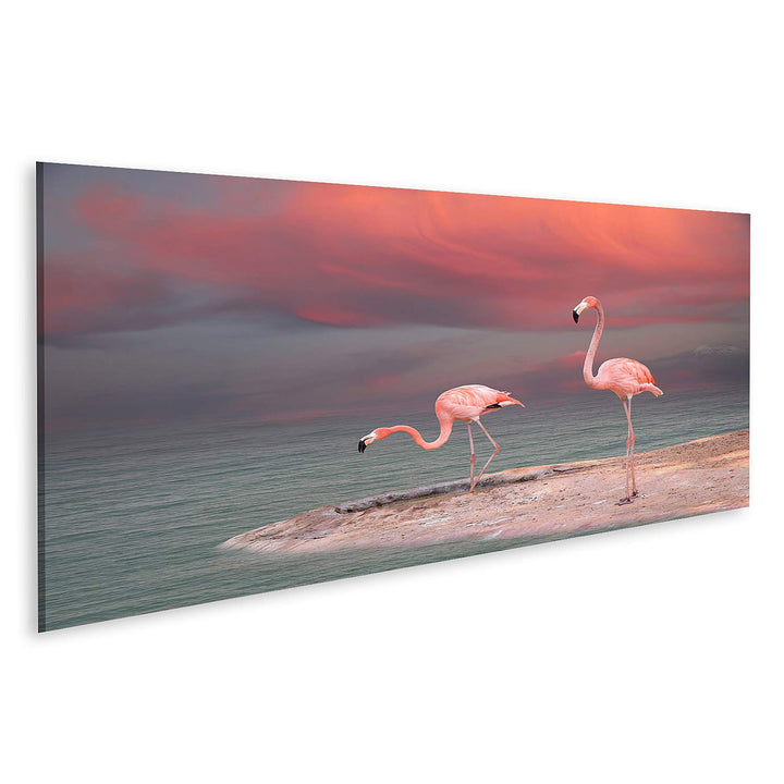 islandburner Bild auf Leinwand Rosa Flamingo Florida Am Strand Bilder Wandbilder Poster Leinwand 120