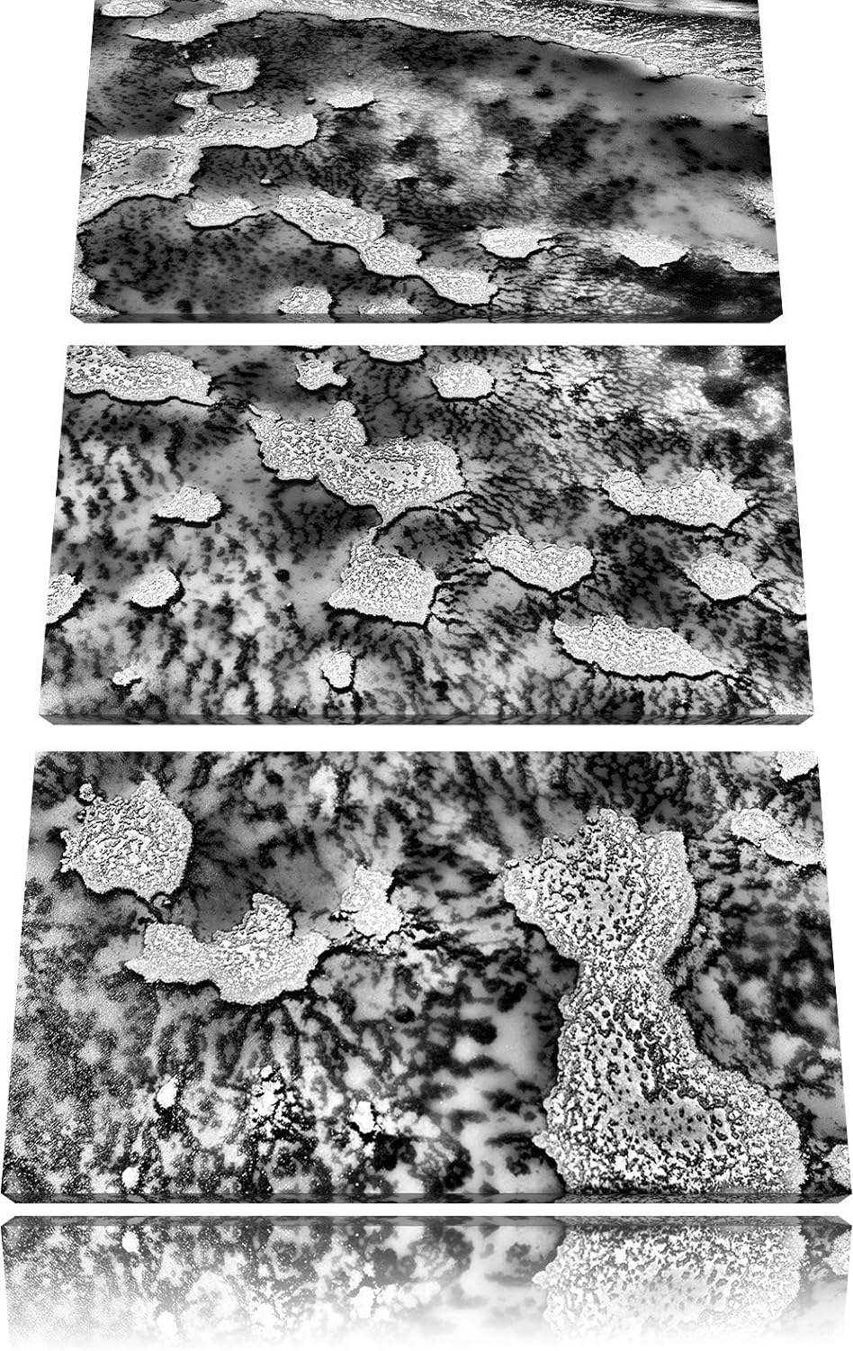 Pixxprint Korallenriffe Australien / 3-Teilig/Gesamtmass 120cm Leinwandbild bespannt auf Holzrahmen/